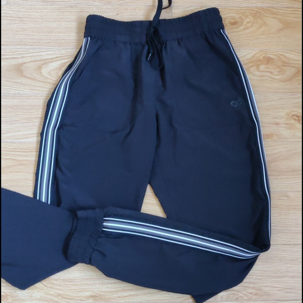Aritzia TNA perridon pant (joggers)